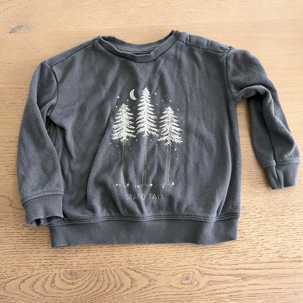 Little co tree sweatshirt stand tall sz 18 months